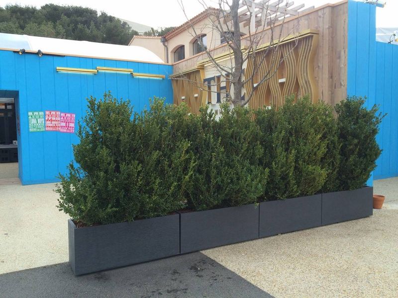 buis en haie libre en location dans le Var