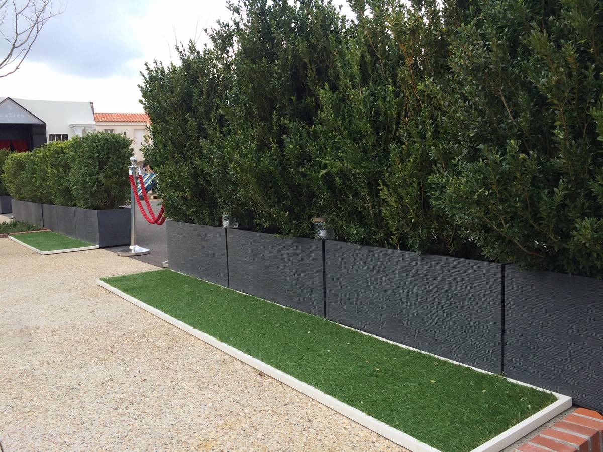jardinière en location avec plante de haie livré sur vos événements dans le Var