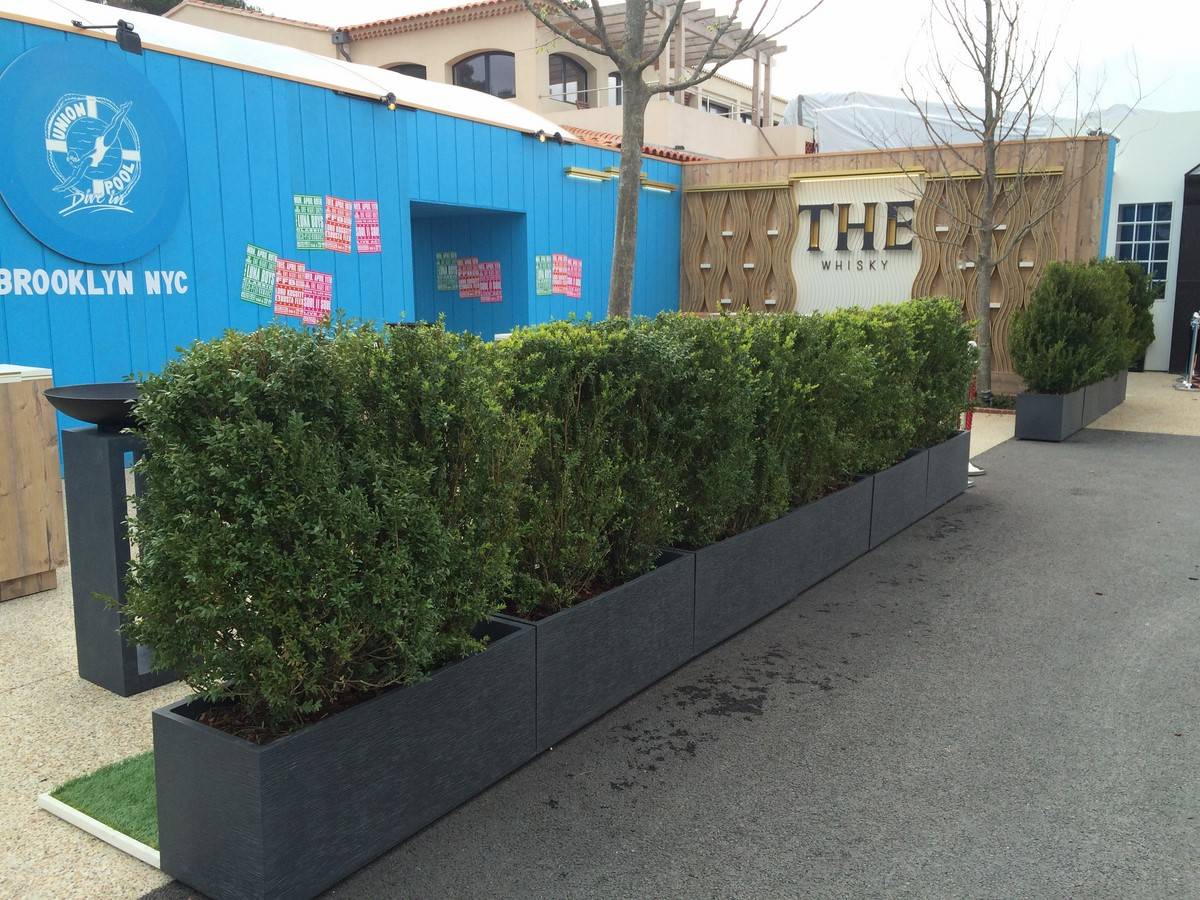 location de haie de séparation en buis et plante hautes dans le Var