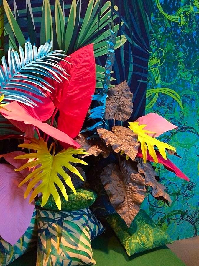 palmier et feuillage exotique en location