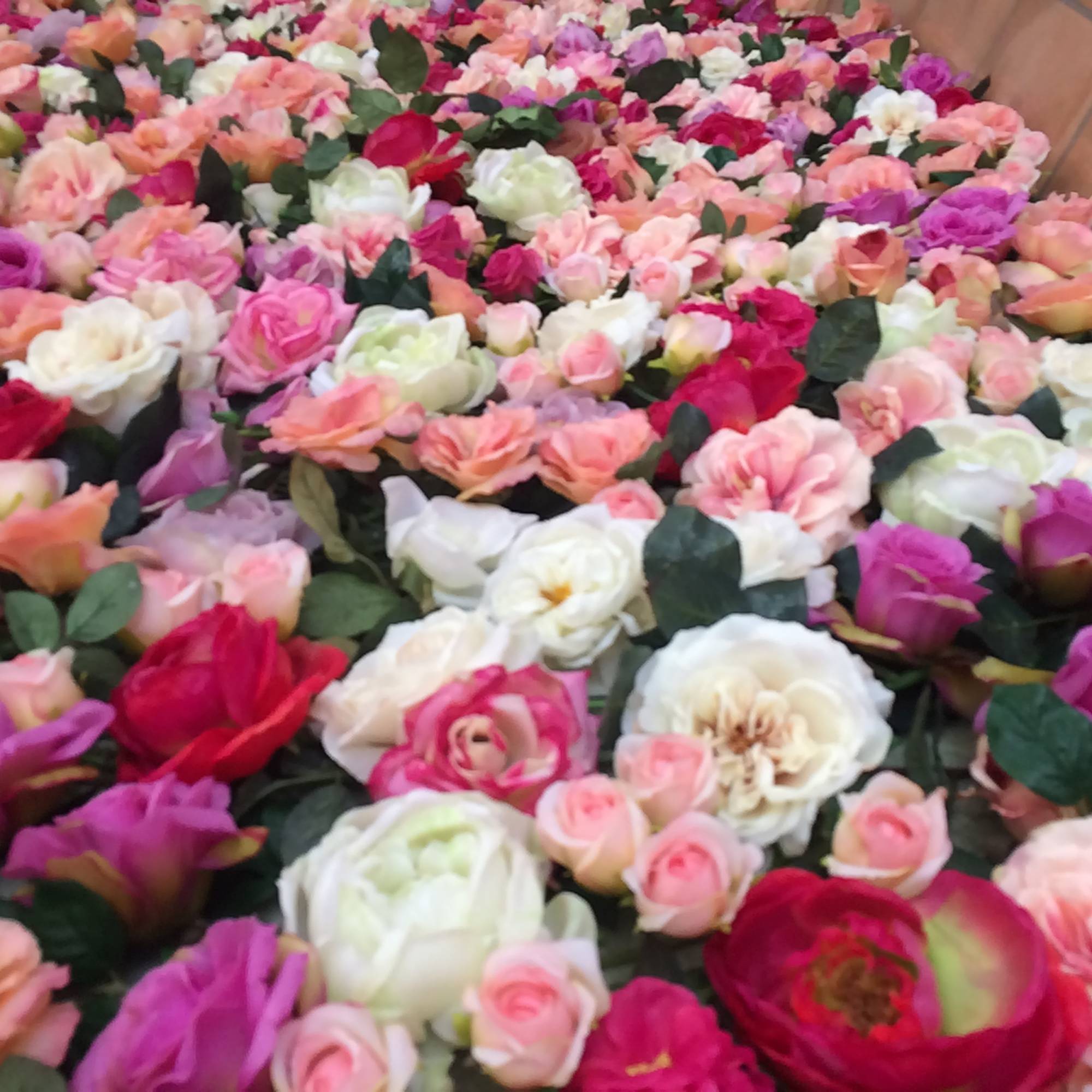 Beau fondu de roses.