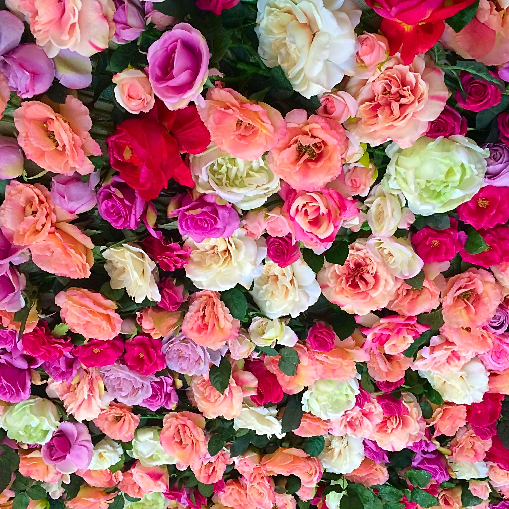 mur de roses artificielles en location pour événement