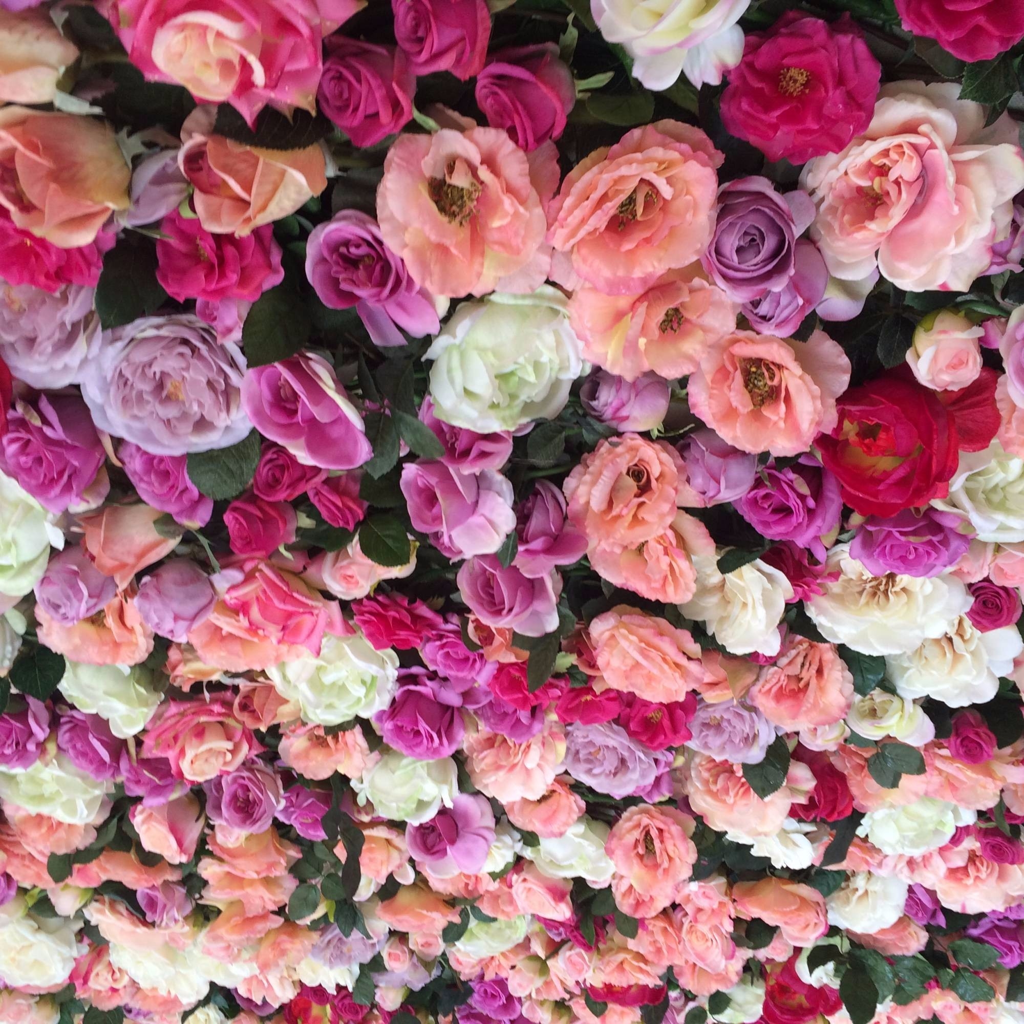 L'effet escomptée des roses dans l'esprit des jardins anglais.