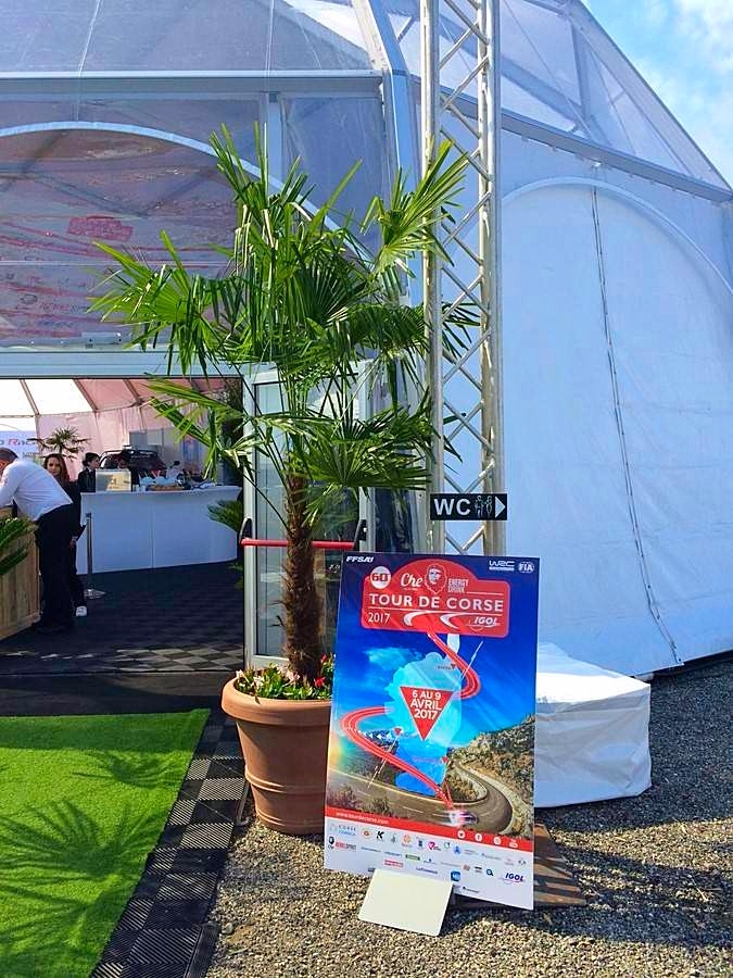 Les palmiers trachycarpus fortunei en binômes d'entrée de tente VIP procure un effet exotique zen.