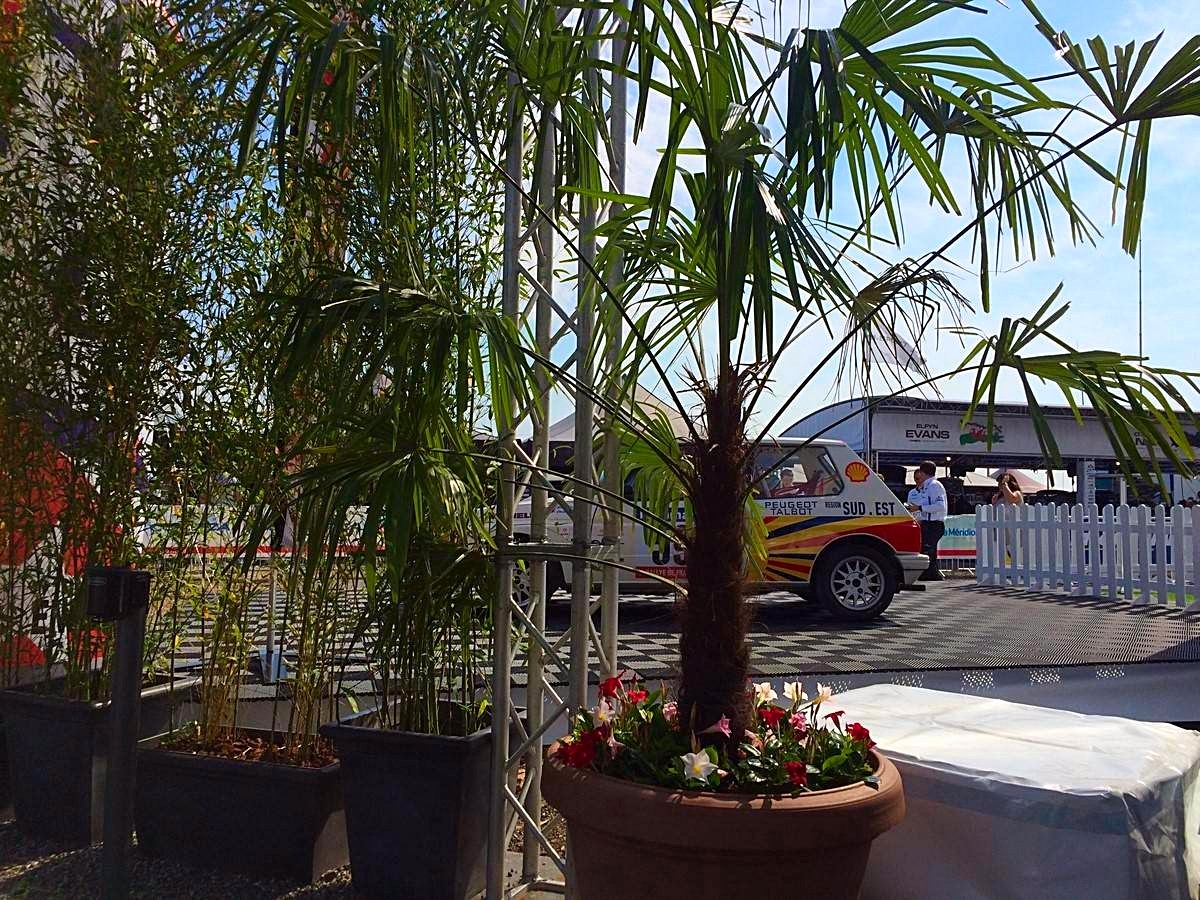 Les écrans de bambous et de palmiers séparent et divisent les espaces d'entrée de tente et les espaces d'expositions.