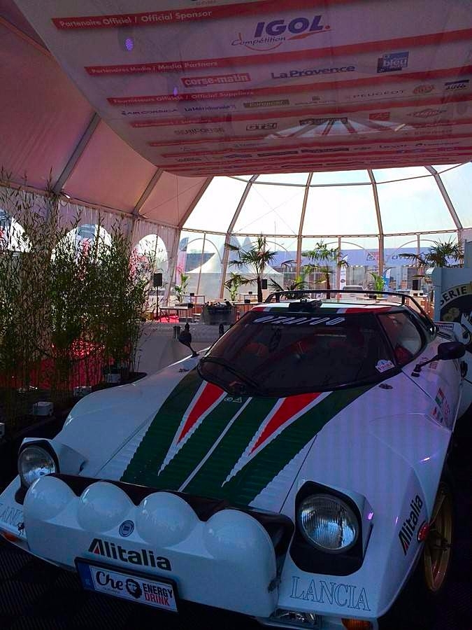 Les palmiers de grandes tailles sont particulièrement intéressants pour les tentes hautes.