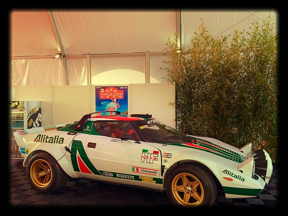 Les bambous en écran mettent en valeur vos produits et véhicules sur les podiums.