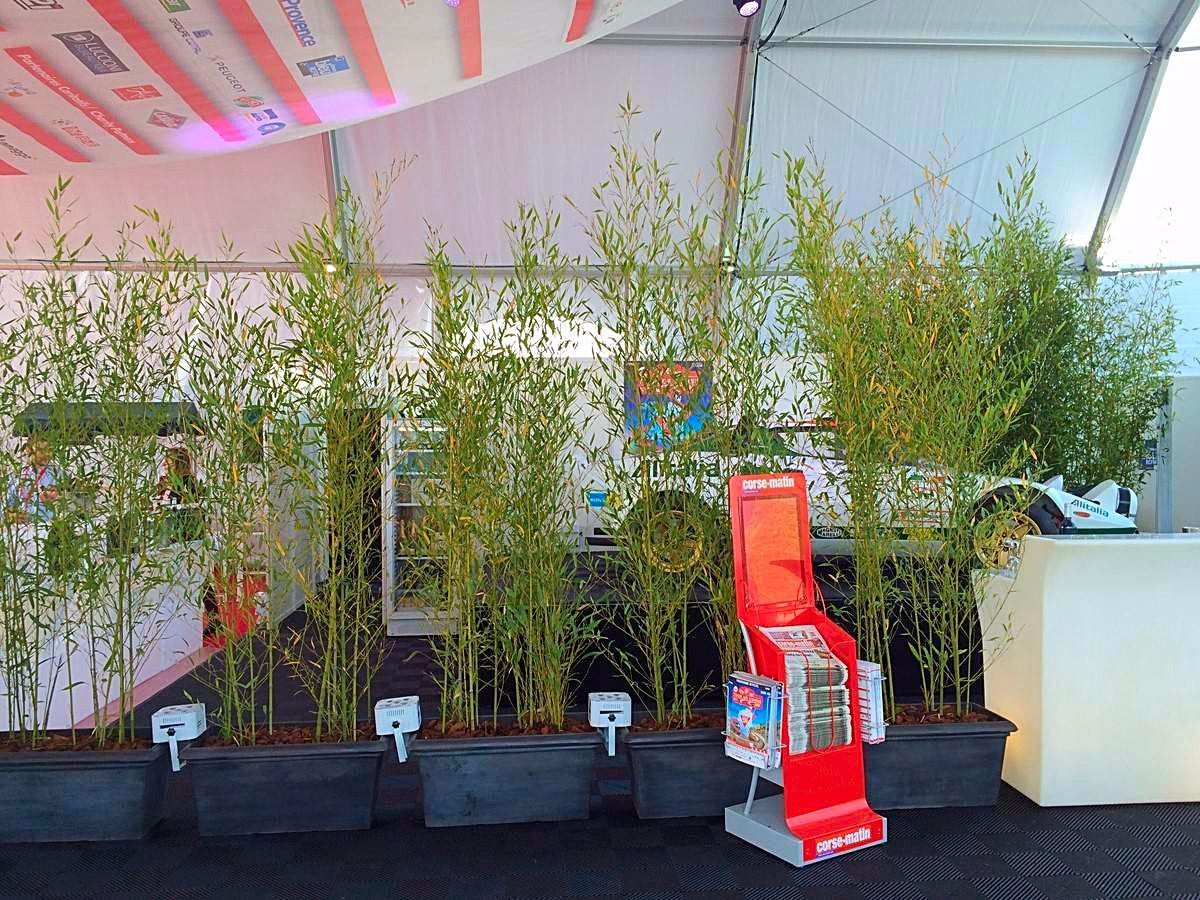 La transparence peut-être demandée afin de ne pas totalement occulter un fond, ici le but et de garder la voiture collection visible, tout en fermant le bar.