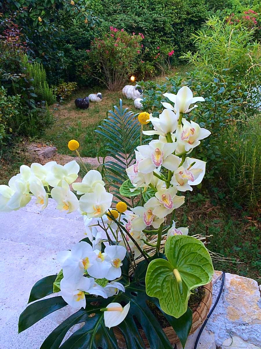 feu d'artifice d'orchydée tout autour de la terrasse de réception