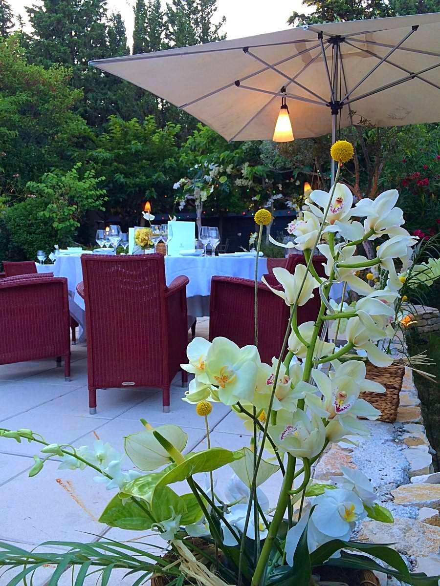 les cymbidiums dressent leur hampes avec fierté