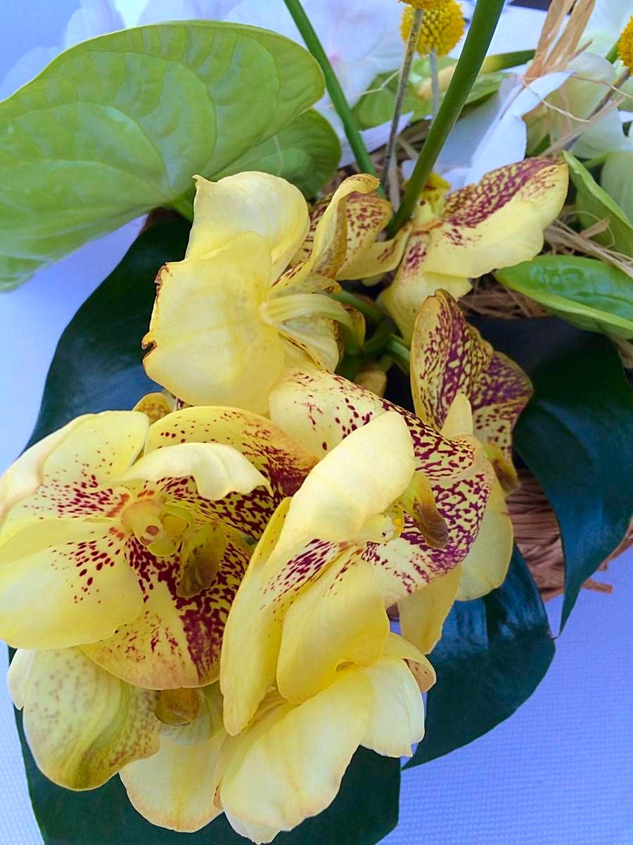l'orchydée vanda jaune sublime cette composition de centre de table