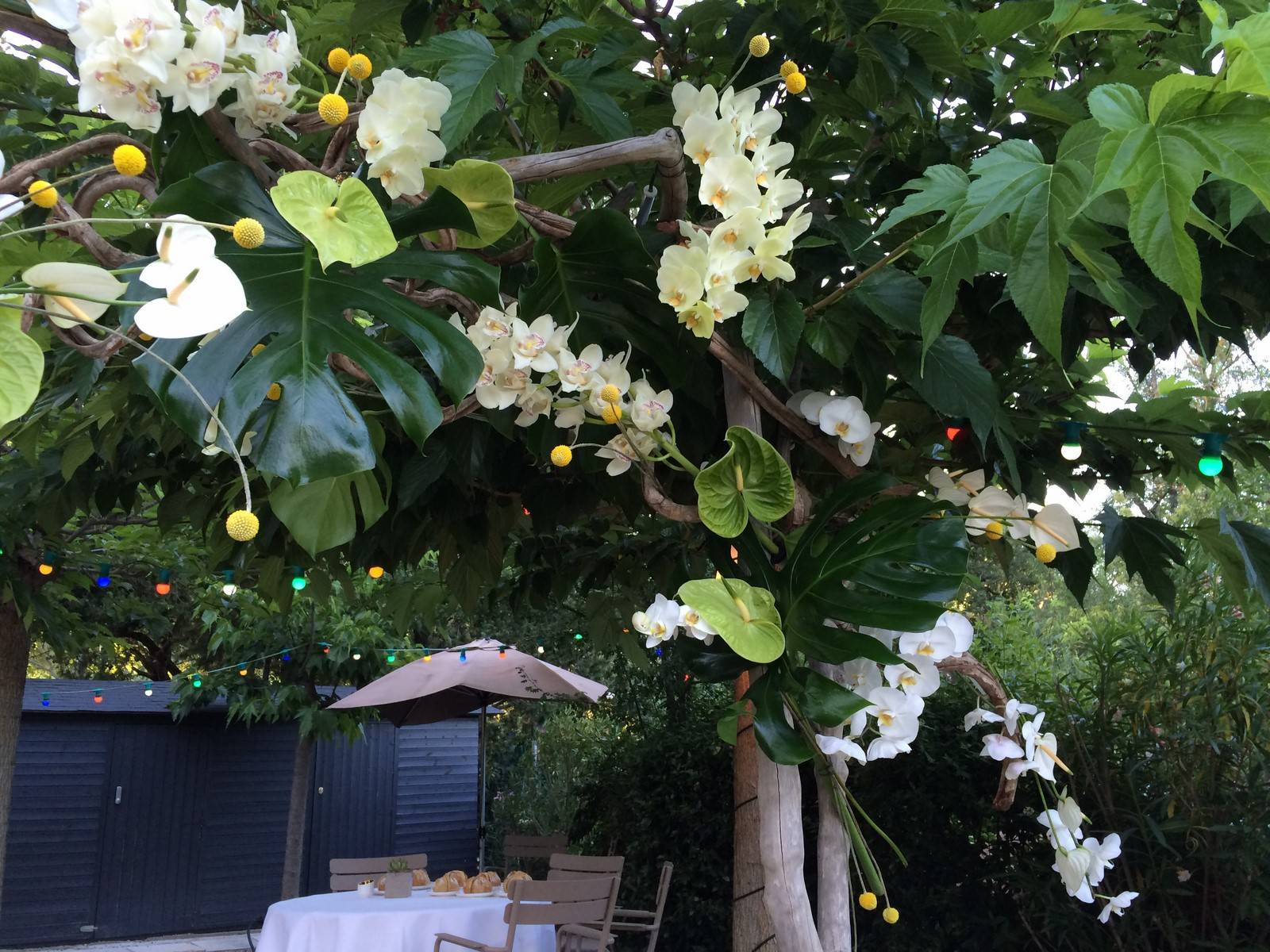 l'arche exotique des îles s'intégre au murier platane de la terrasse de l'hotel