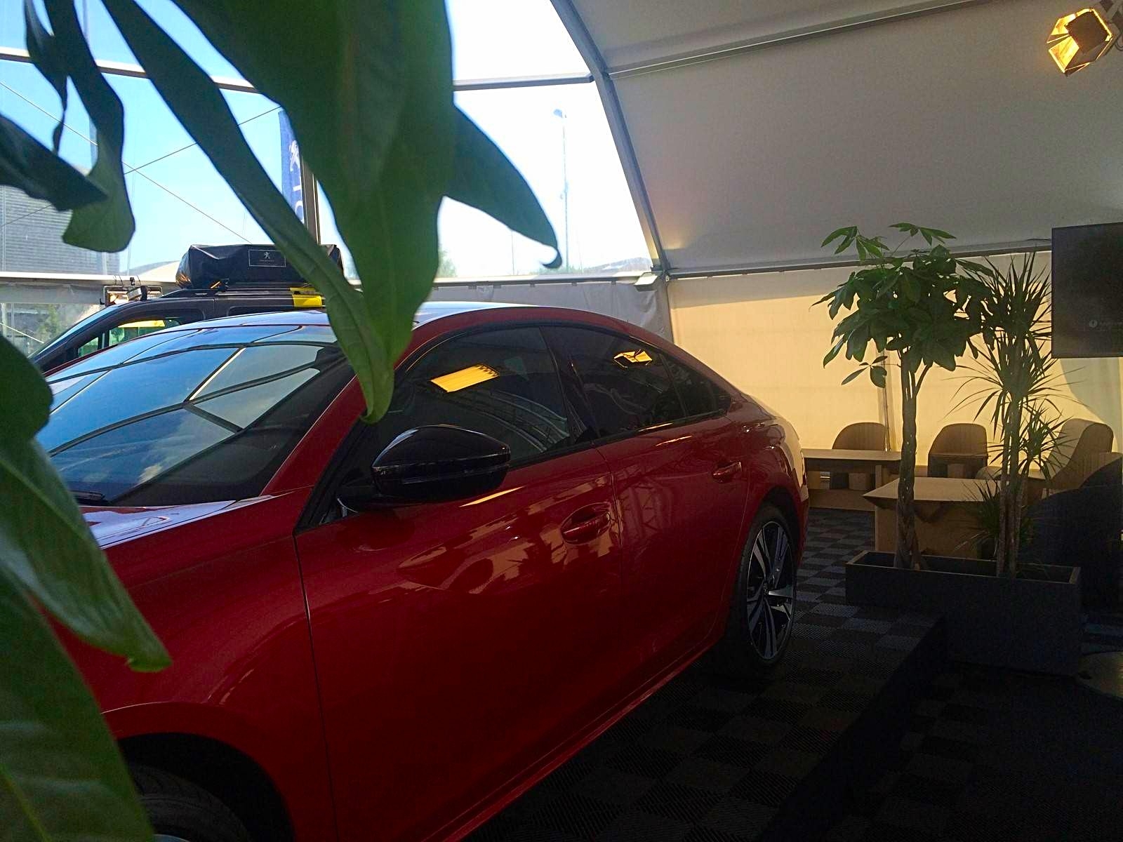 les plantes s'harmonisent et forme un écrin de verdure de part et d'autre de l'exposition