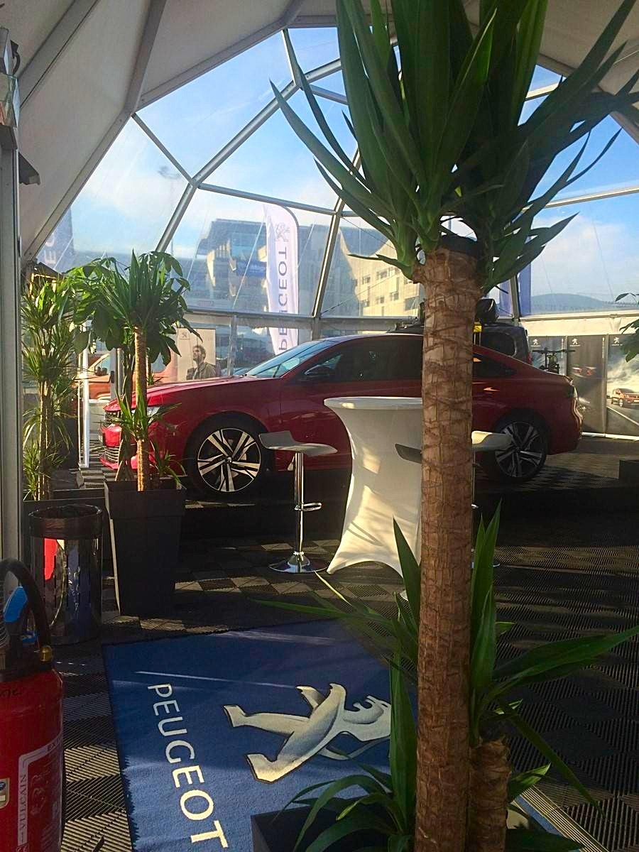 Les plantes s'harmonisent tant avec les éléments exposés mais aussi dans l'espace des tentes