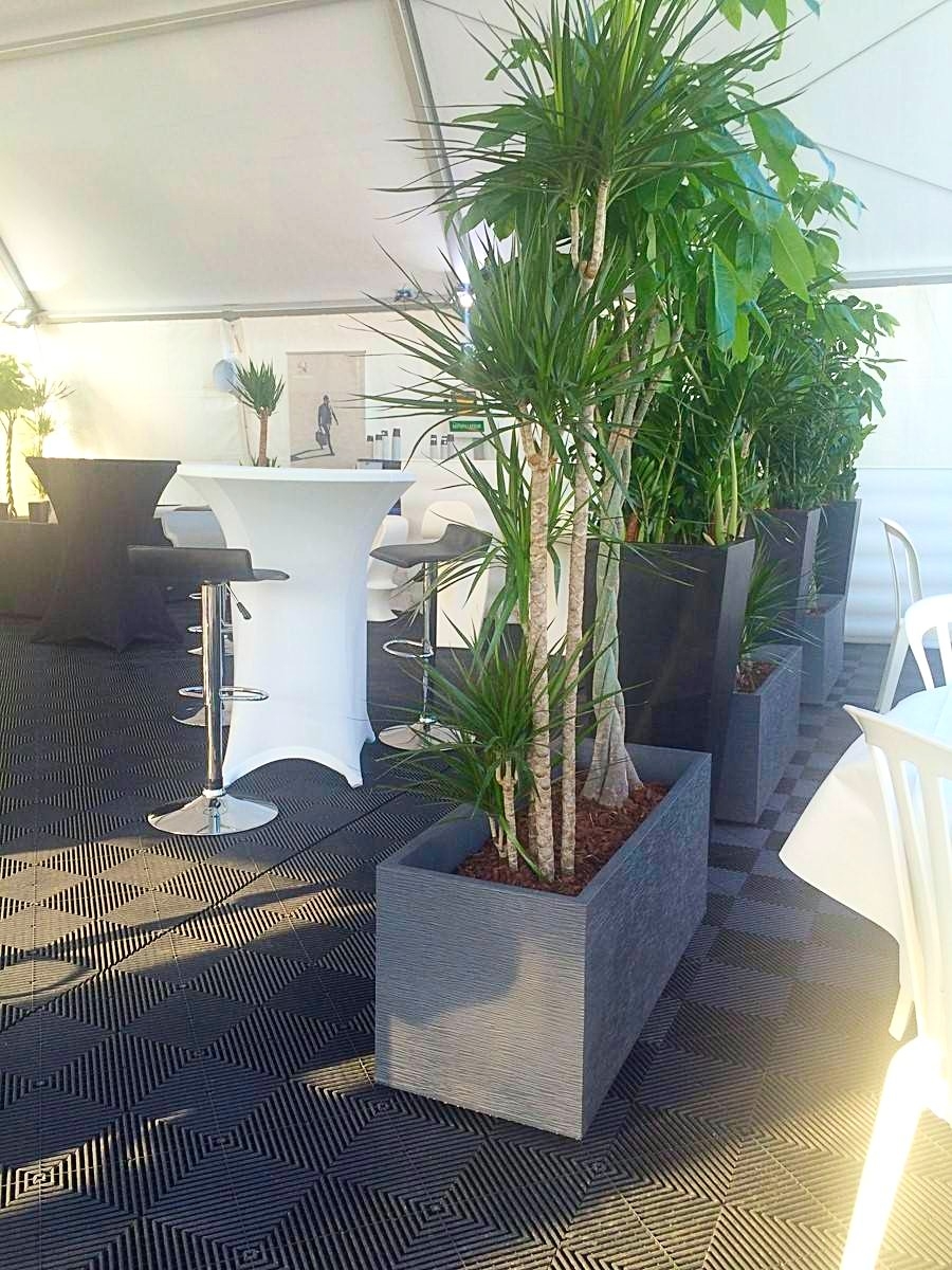 les jardinières noires design altérnées avec les pyramides en 90 cm  noires apportent standing au graphisme