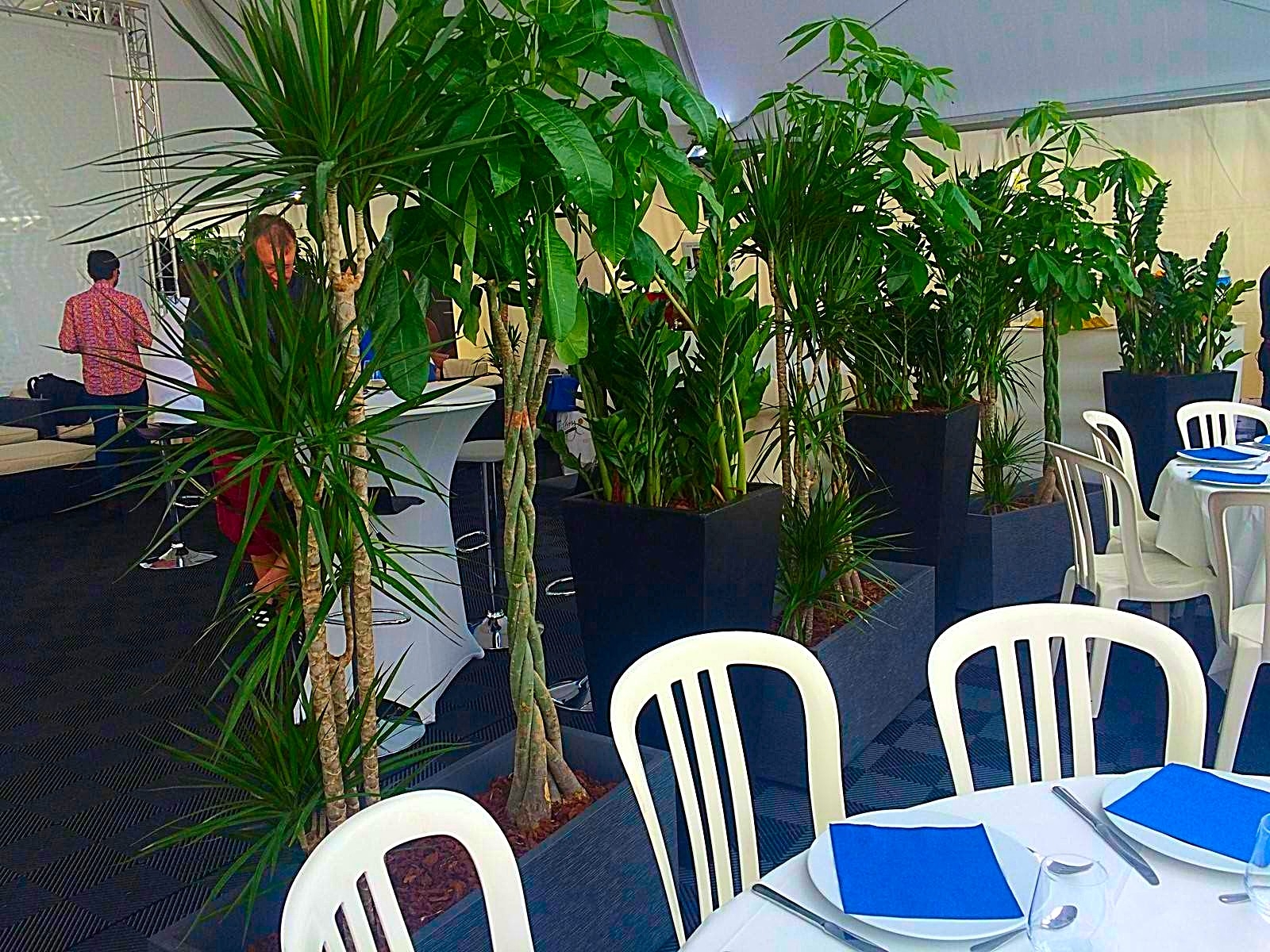 le style graphique est obtenu avec des plantes délicates et hautes pour laisser la lumière passer