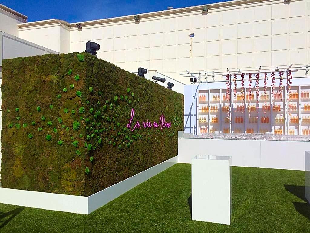 les mousses boules donnent du caractère et du relief au mur de végétaux mousseux