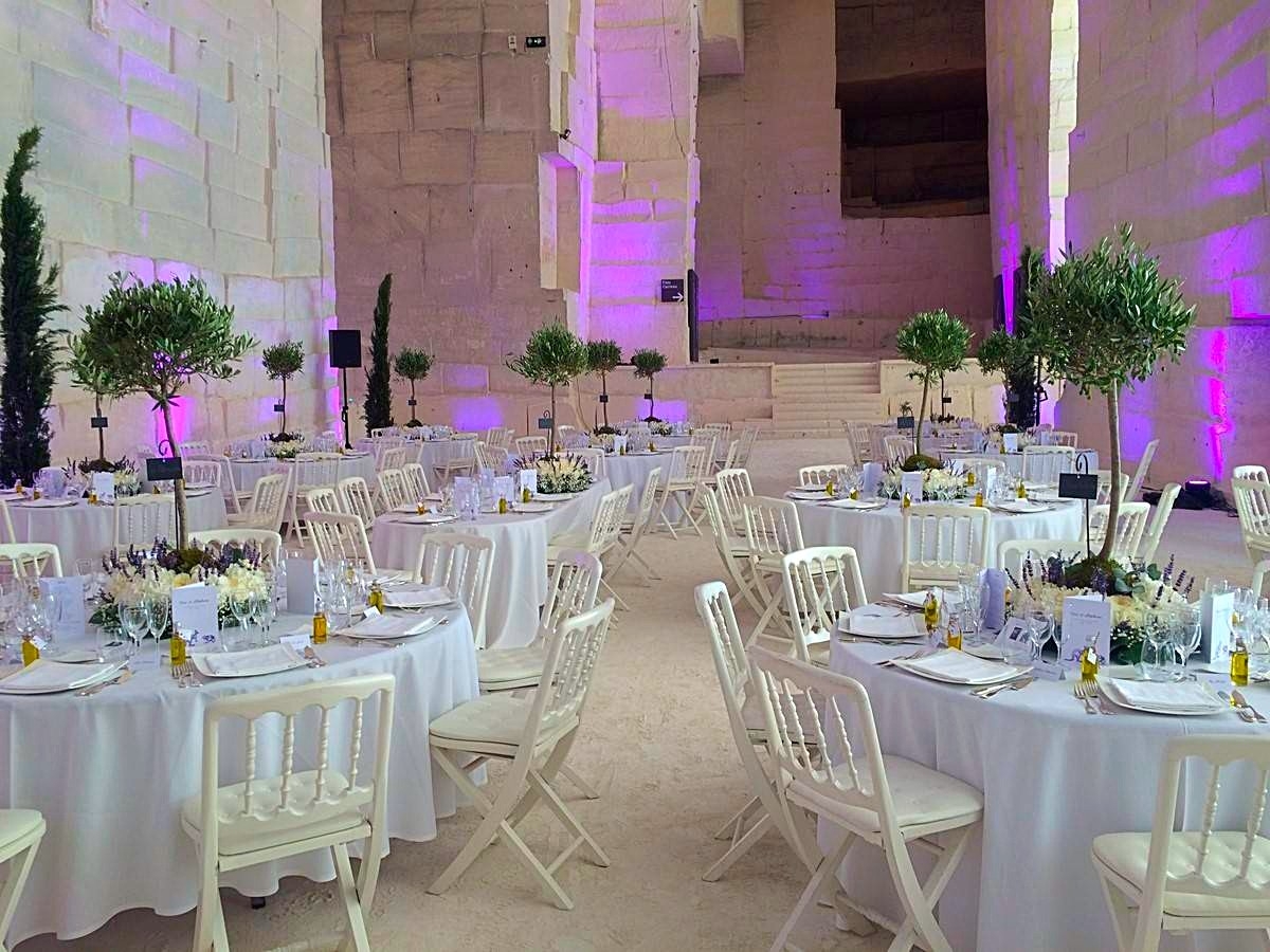 les oliviers offrent d'élégantes verticales dans l'esprit provençal