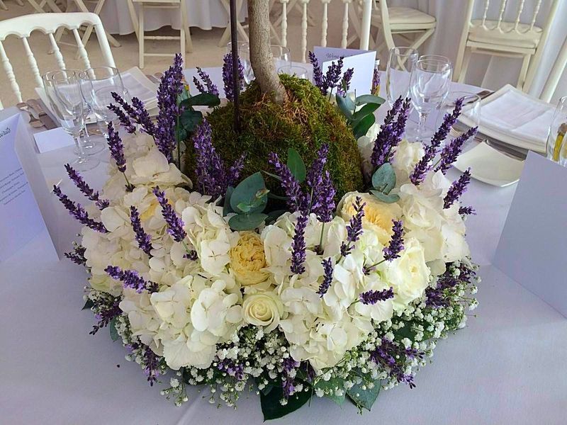 la lavande ponctue et allège la couronne