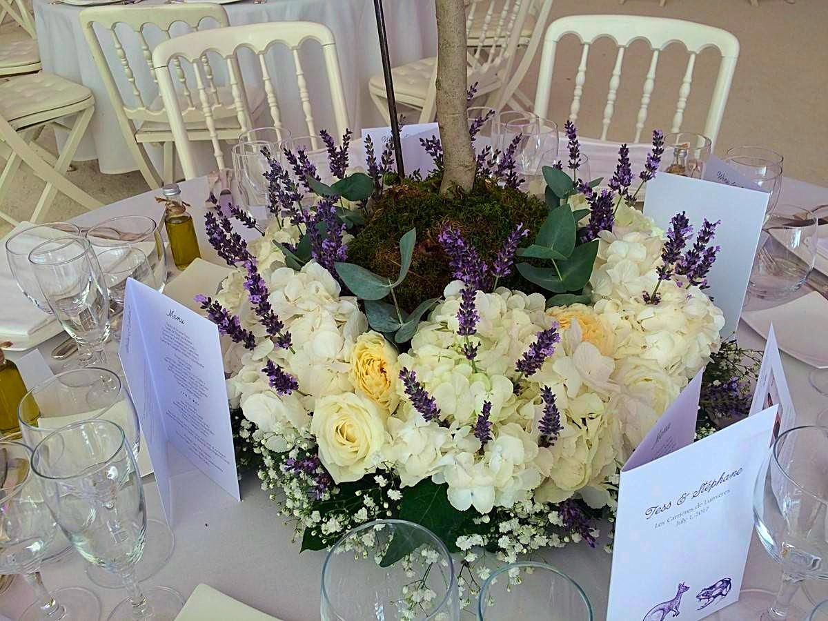 le choix de l'eucalyptus est choisi en symbole de l'australie