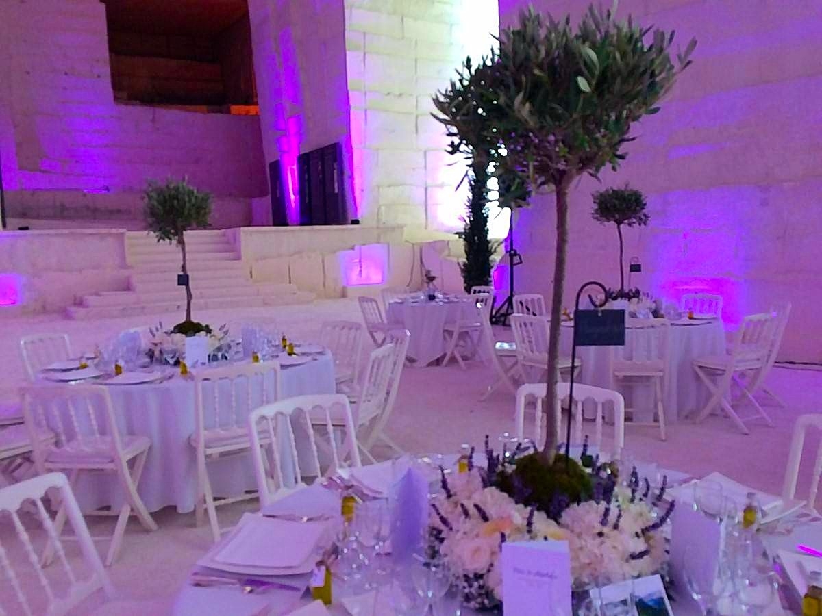 équilibre des hauteurs par des oliviers boules sur troncs