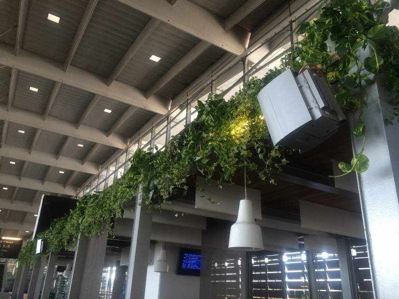 Cette vue d'en bas de la gare marque bien la présence des plantes.