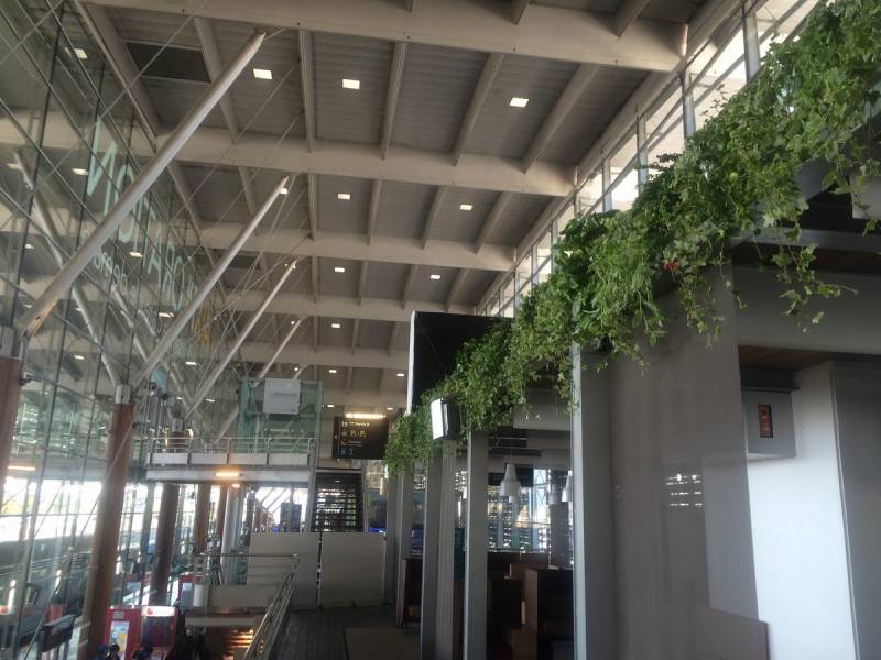 Plantes en suspensions naturelles et ou artificielles pour décoration de bureaux et espace de détente. Décoration de la gare TGV Aix en Provence