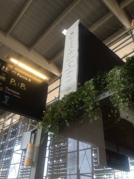 Plantes en suspensions naturelles et ou artificielles pour décoration de bureaux et espace de détente. Décoration de la gare TGV Aix en Provence