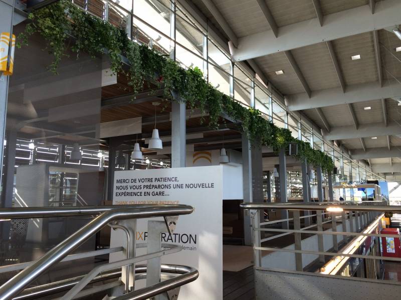 Plantes en suspensions naturelles et ou artificielles pour décoration de bureaux et espace de détente. Décoration de la gare TGV Aix en Provence