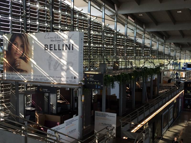 Plantes en suspensions naturelles et ou artificielles pour décoration de bureaux et espace de détente. Décoration de la gare TGV Aix en Provence