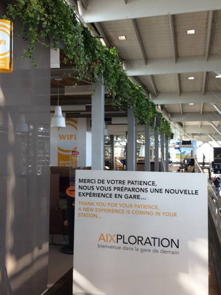 Plantes en suspensions naturelles et ou artificielles pour décoration de bureaux et espace de détente. Décoration de la gare TGV Aix en Provence