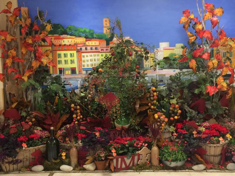 Décoration florale et végétale pour salon exposition des vins et de la gastronomie en paca