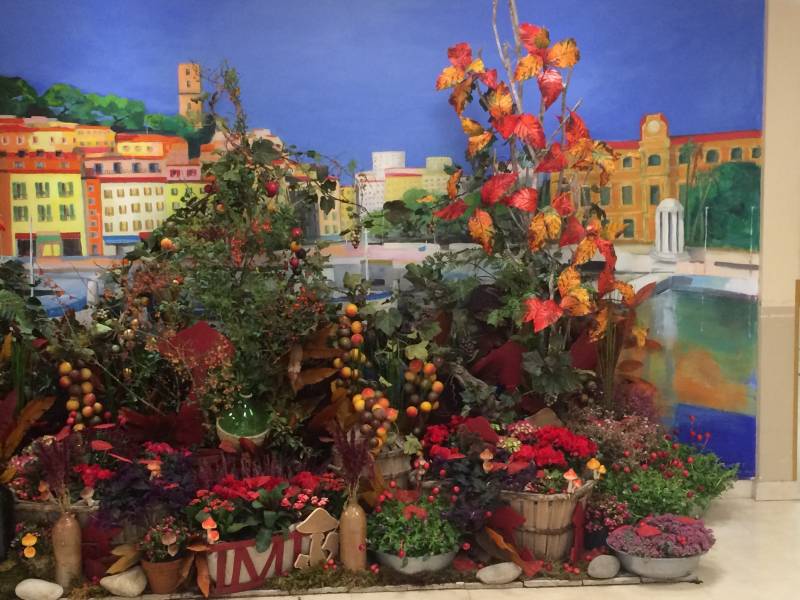 Décoration florale et végétale pour salon exposition des vins et de la gastronomie en paca