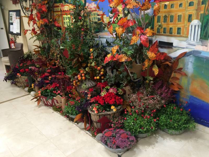 Décoration florale et végétale pour salon exposition des vins et de la gastronomie en paca