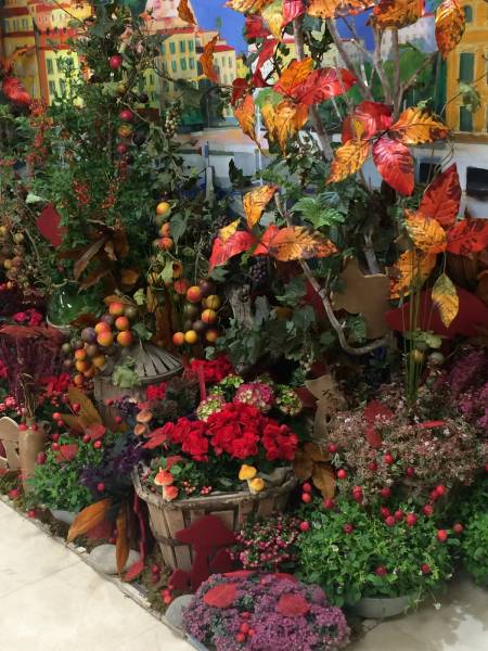 Décoration florale et végétale pour salon exposition des vins et de la gastronomie en paca