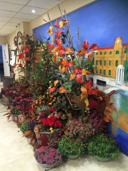 Décoration florale et végétale pour salon exposition des vins et de la gastronomie en paca