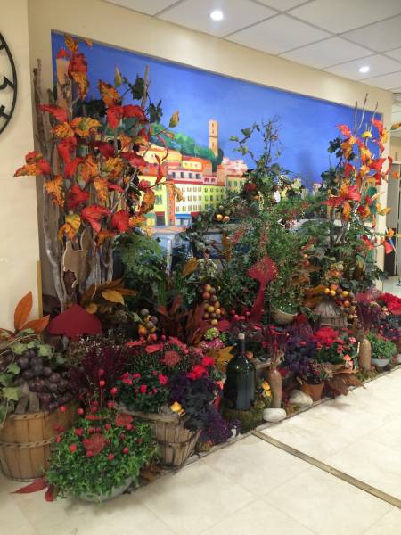 Décoration florale et végétale pour salon exposition des vins et de la gastronomie en paca