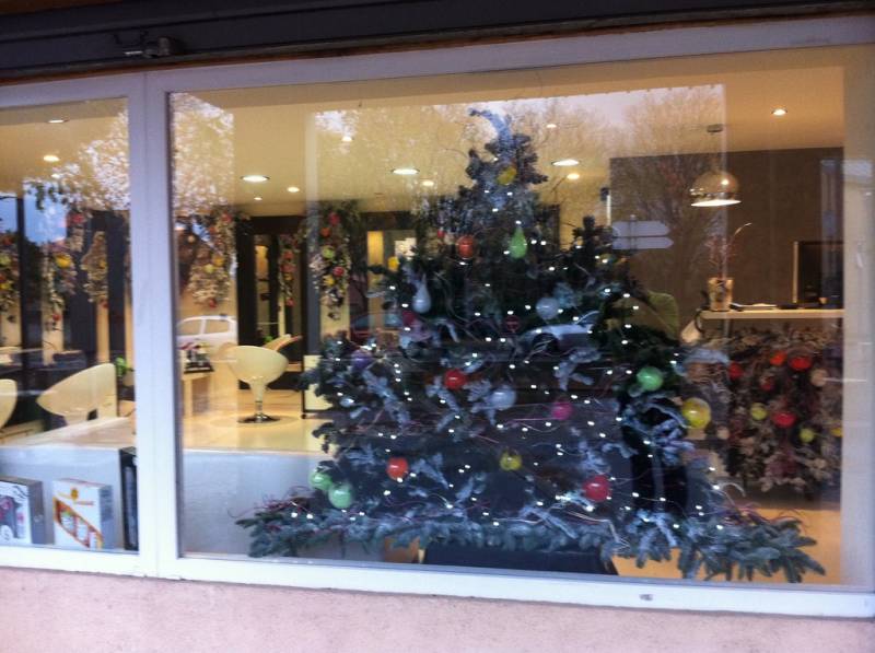 votre sapin de noel décoré de guirlandes pour votre intérieur le salon Riviera coiffure styliste visagiste et vos facades de commerce à Vitrolles et à Aix en Provence et paca