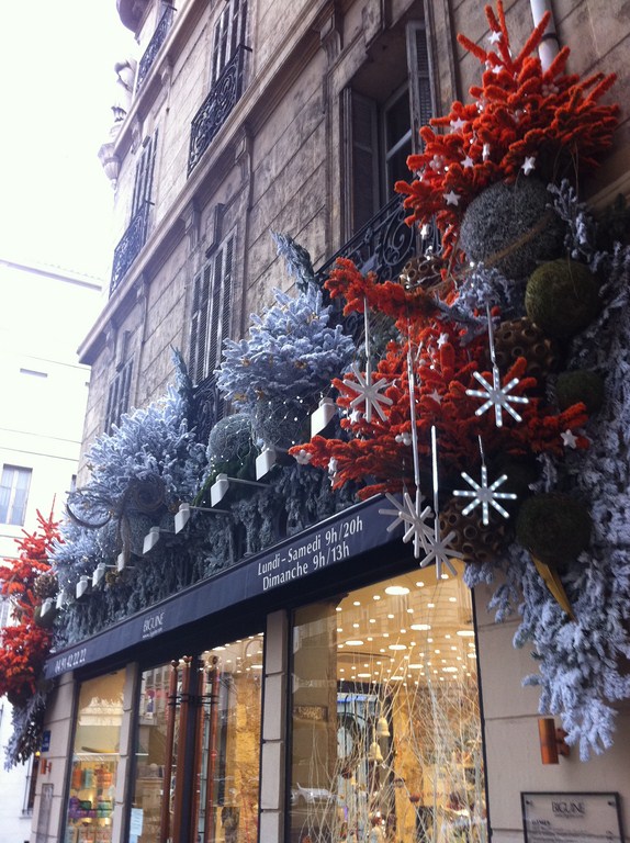 noel sapin guirlande decoration de fetes de noel et mise en lumière pour facade de commerce restaurant hotel usine avignon marseille aix en provence