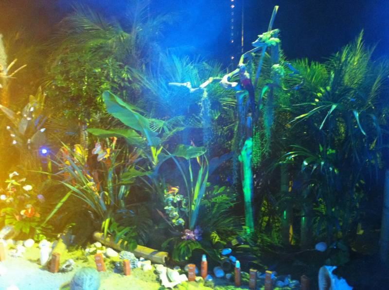 Pierre Fabre Dermo-cosmétique a sélectionné Clorofil events pour sa deuxième tournée dans 10 villes de France, afin de présenter aux professionnels de la pharmacie les produits solaires et anti-âge.