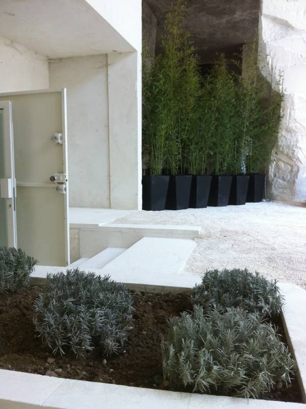 La hauteur des bambous en location en paca ont une hauteur moyenne de 2 mètres.