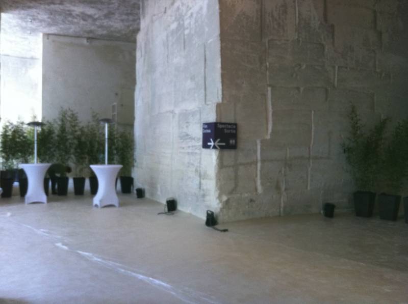 Clorofil Events a été sollicité par les Carrières de Lumières aux Baux de Provence pour décorer les espaces réceptifs de l'inauguration du nouveau site.