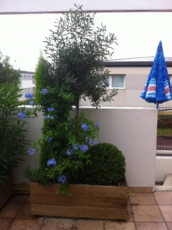 Abonnement de courtes et longues durées de jardinières et bacs pour restaurant hôtel, Toulon