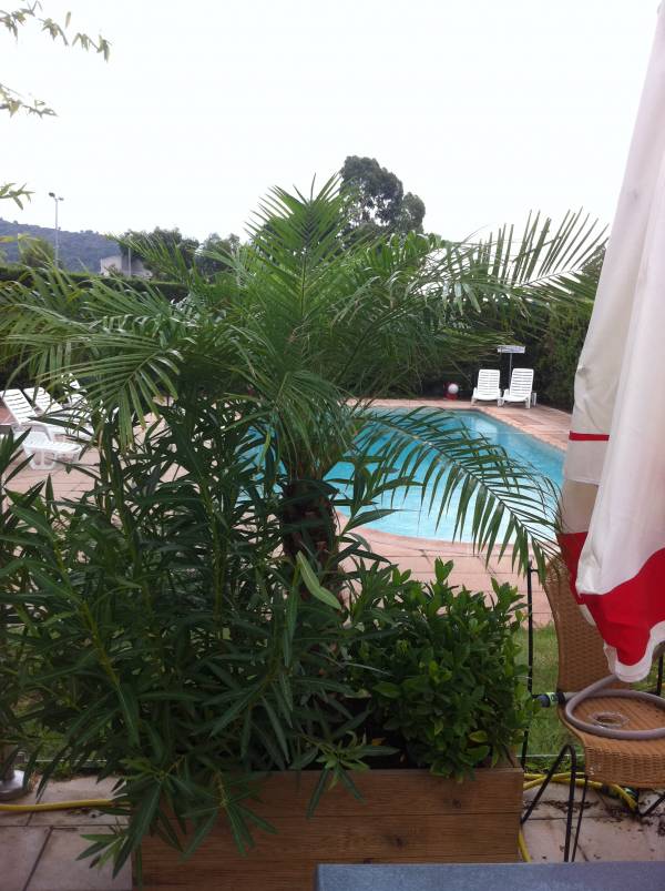 Abonnement de courtes et longues durées de jardinières et bacs pour restaurant hôtel, Toulon