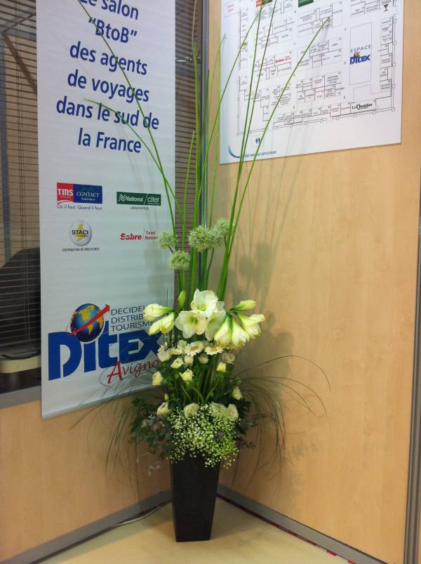 Location de décoration florale pour stand exposition sur Avignon