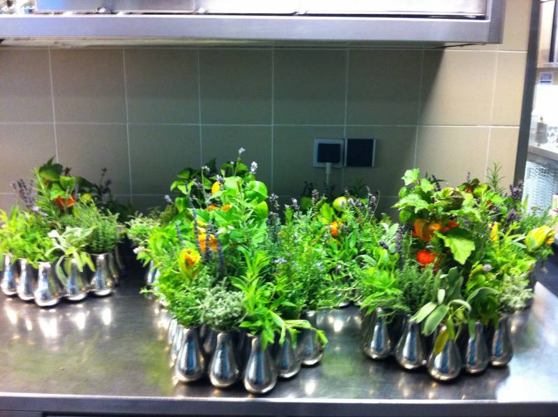 centre de table de fleurs pour repas et gala Les Baux de Provence