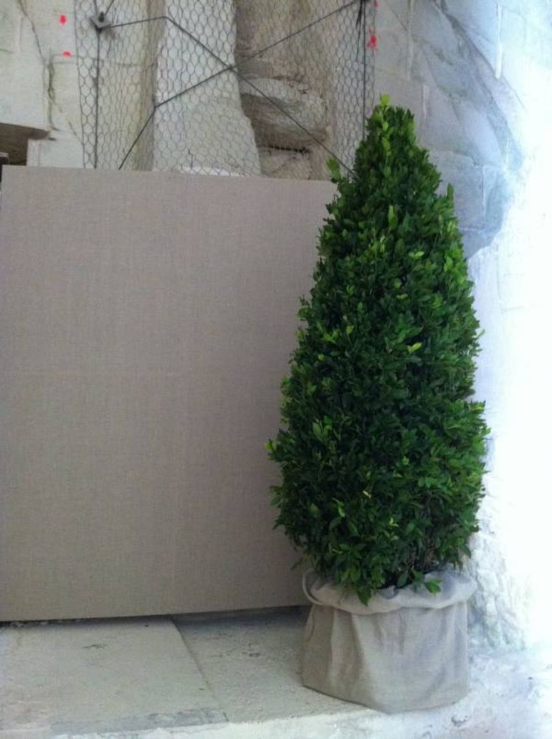 Mur de végétaux et toiles tendus salon, exposition Les saintes Marie de la Mer