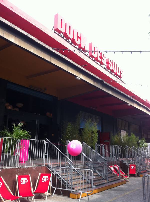 palmier agrumes en location Marseille Toulon Aix en Provence