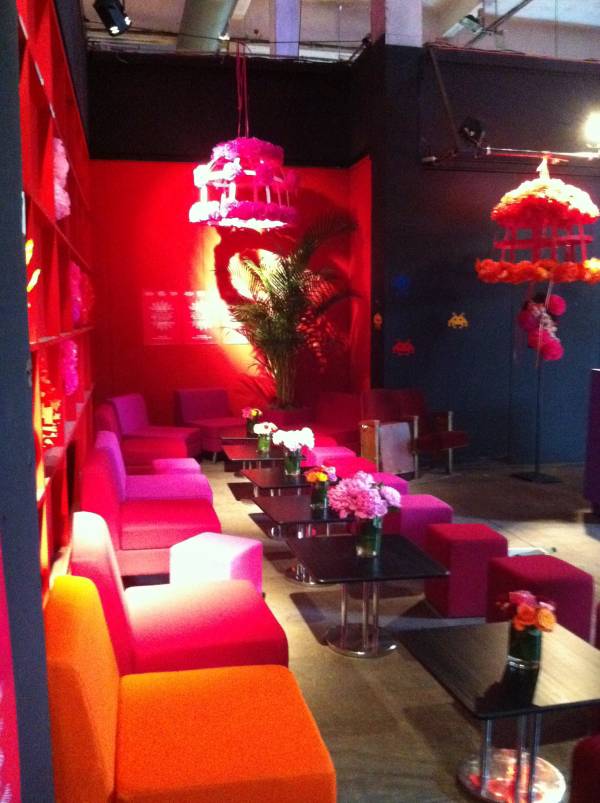 palmier agrumes en location Marseille Toulon Aix en Provence