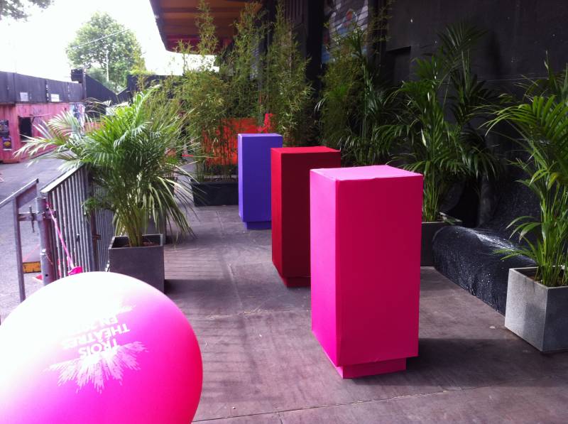 palmier agrumes en location Marseille Toulon Aix en Provence